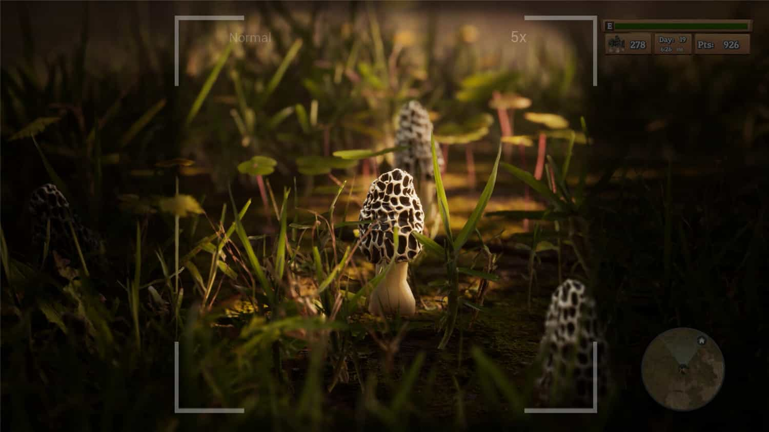 《羊肚菌：狩猎/Morels: The Hunt》免安装中文版|迅雷百度云下载